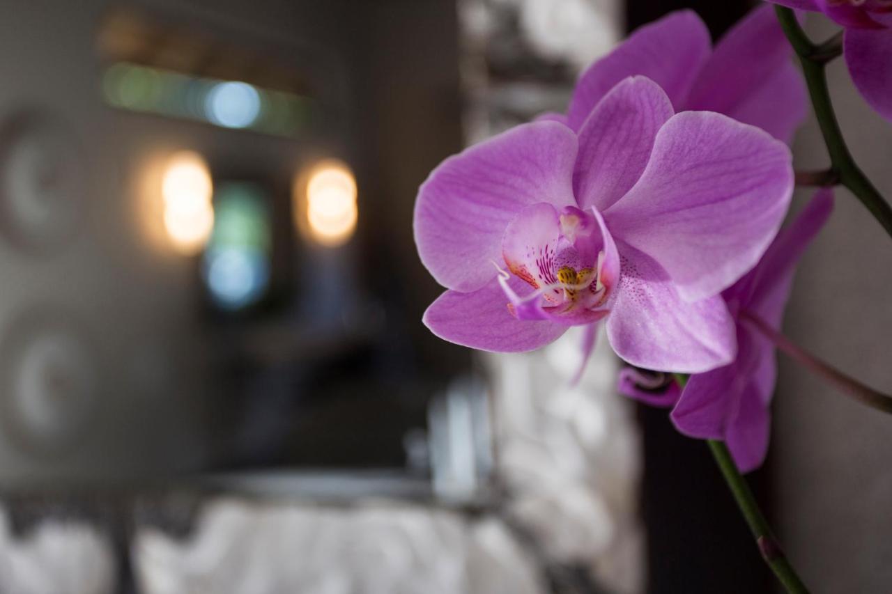 Moya Safari Villa هويدزبروت المظهر الخارجي الصورة